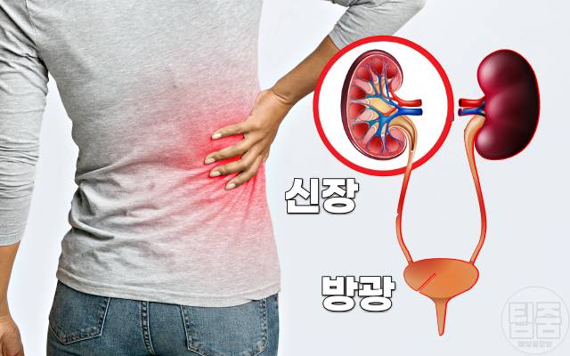 소변거품 어느정도 요독증 증상