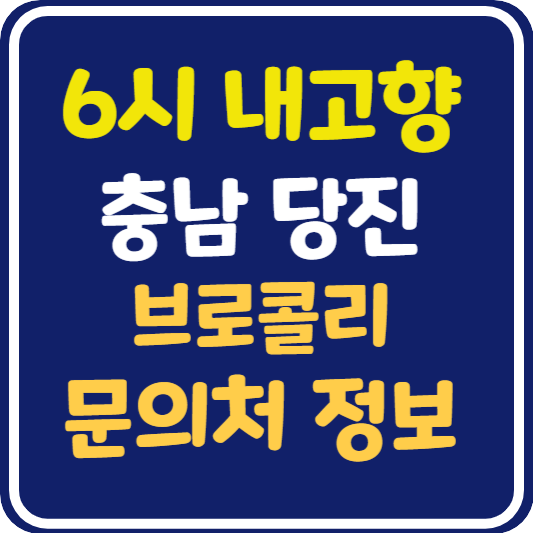 6시 내고향 당진 브로콜리 문의처 정보 안내