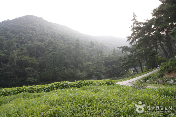 나주 가볼만한곳 베스트10