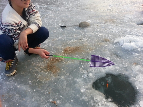 경기-양평-부림오토캠핑장-사진-입니다.