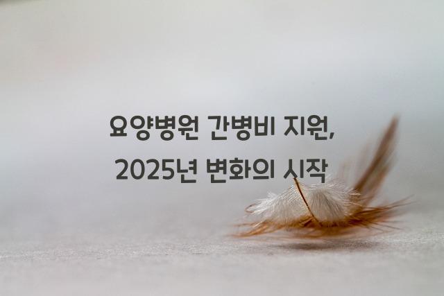 요양병원 간병비 지원