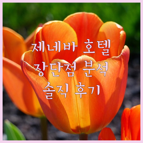 제네바 41 레이크프런트 호텔 숙박 