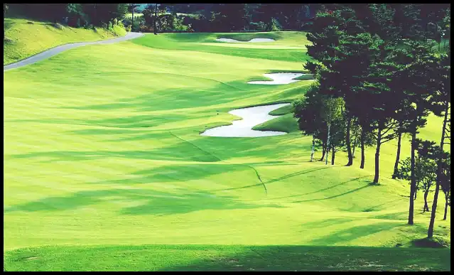 파크골프의 기본자세 (+ 퍼터 )