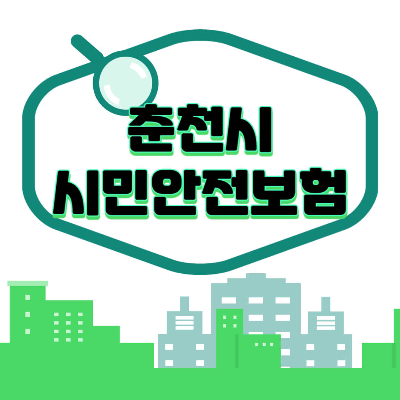 춘천시 시민안전보험