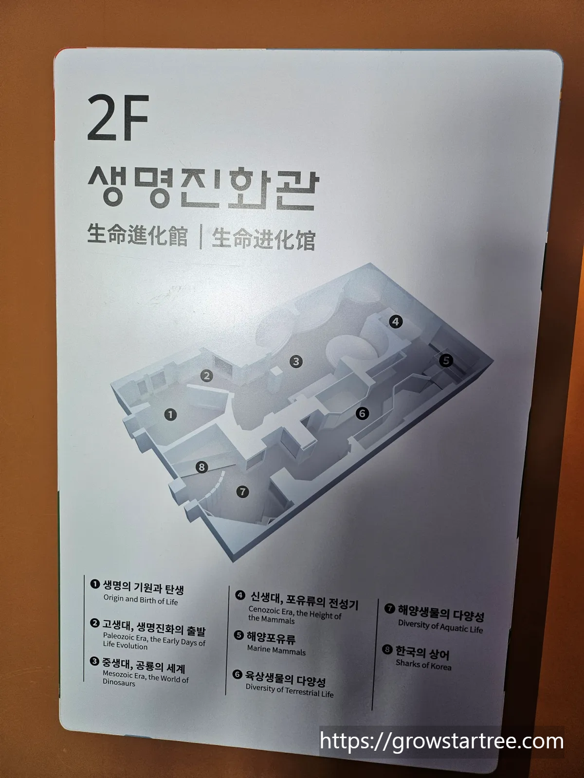 서대문자연사박물관 2층 생명진화관 안내도