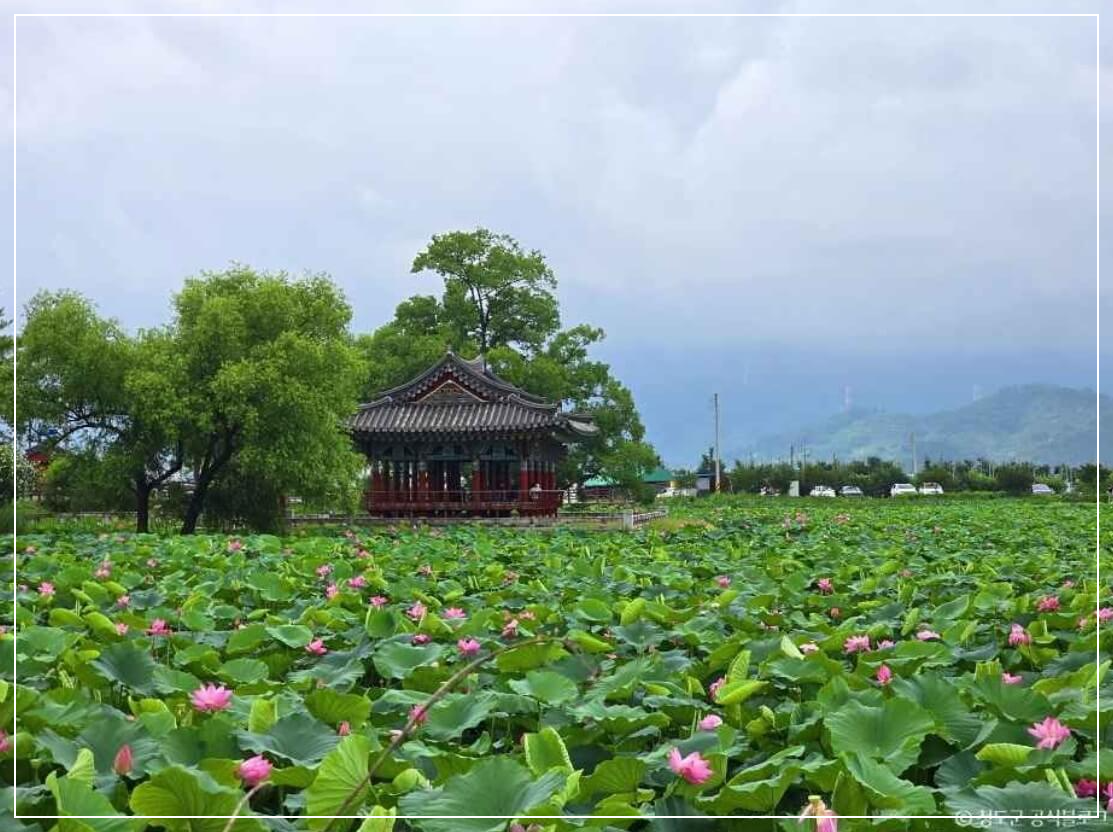 청도 가볼만한곳 베스트10 유등연지