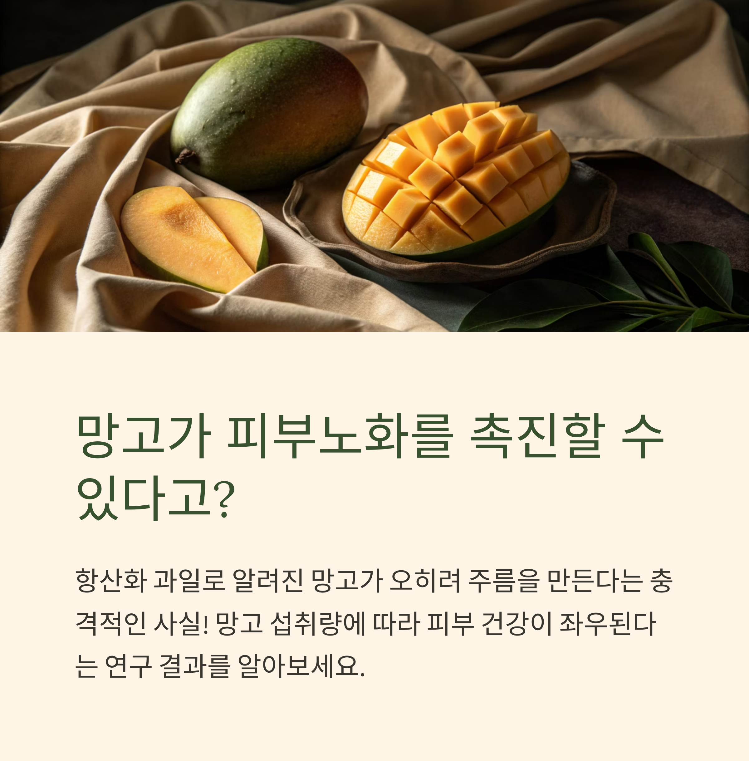 망고