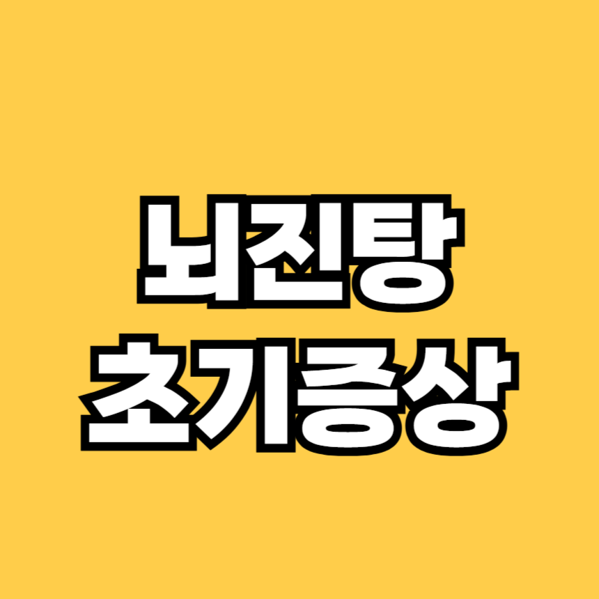 뇌진탕 초기증상