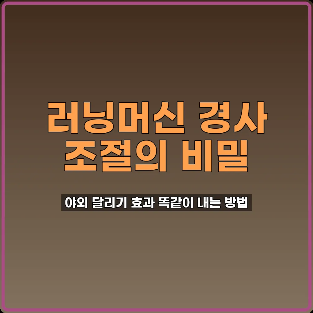 다이어트운동
