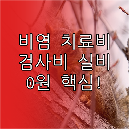 환절기 비염 치료 비용 및 알레르기 ..