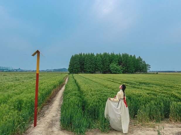 군산 가볼만한곳 베스트 10