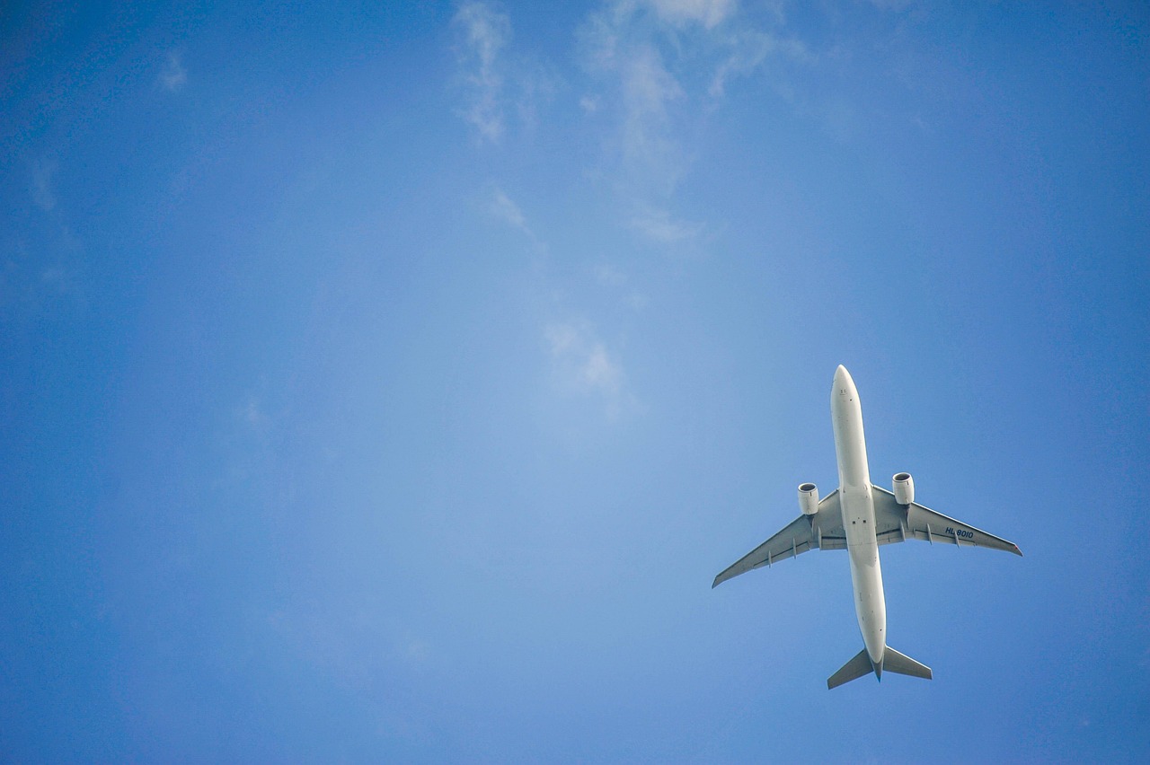 수도권 출발 국내외 여행 루트
