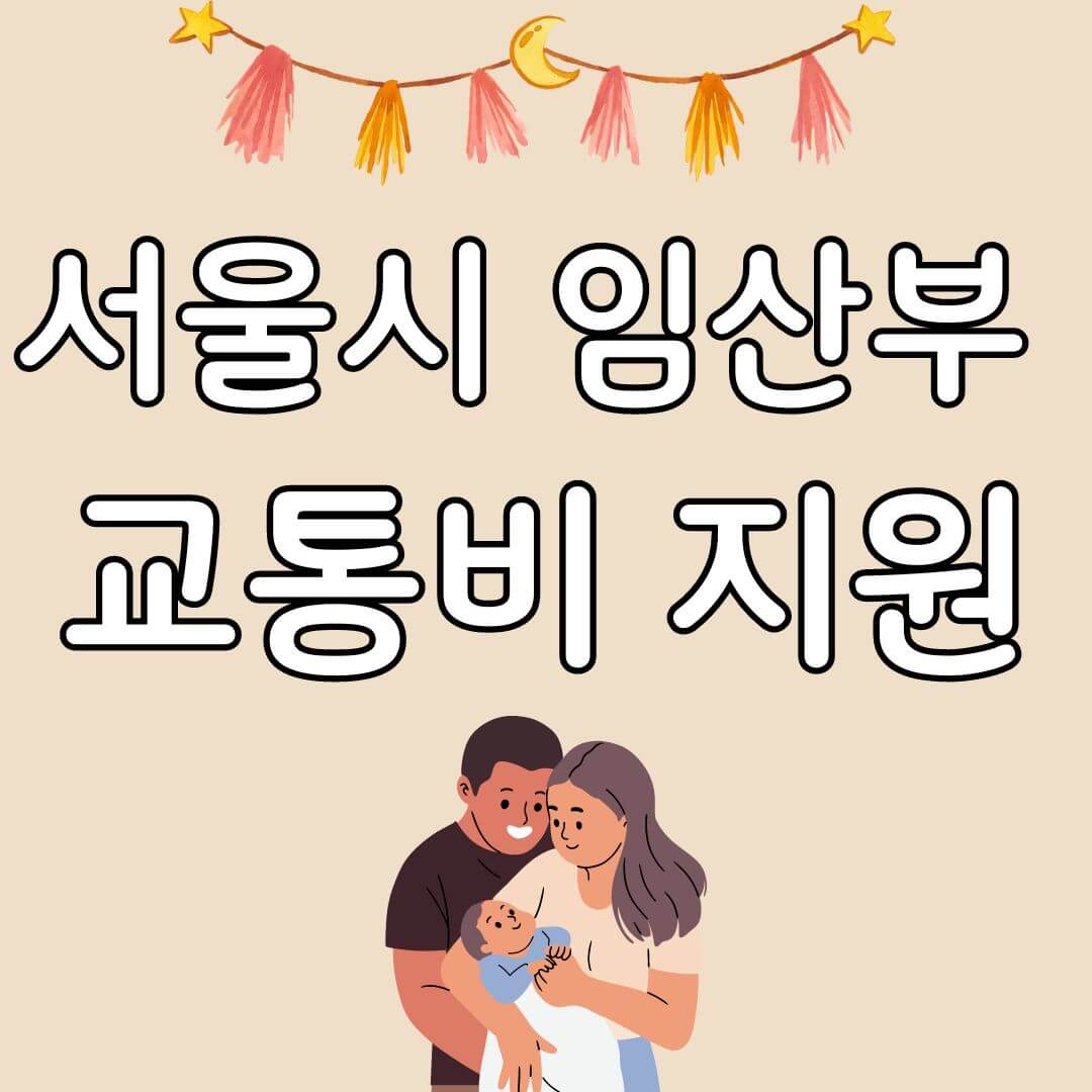 서울시 임산부 교통비 지원대상 및 잔액 조회