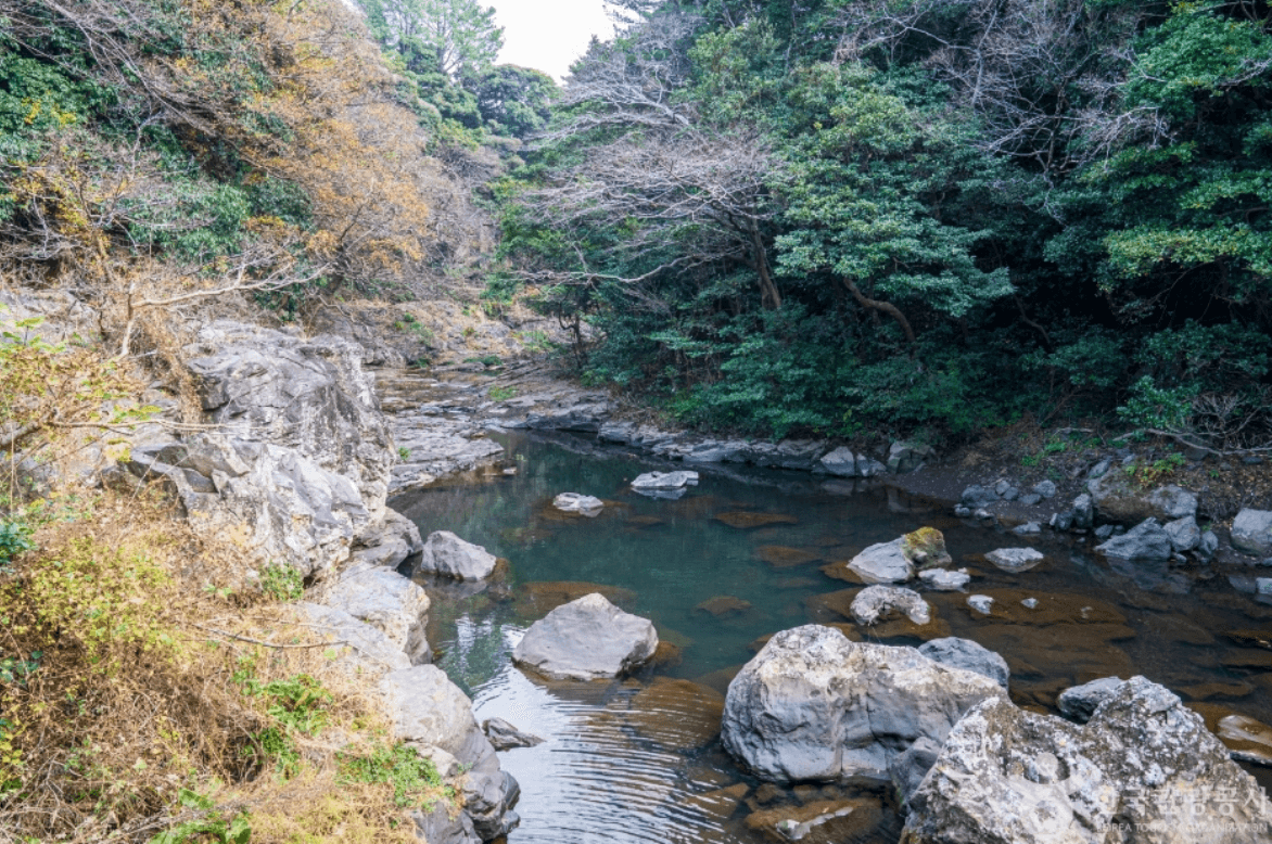 서귀포시 안덕계곡