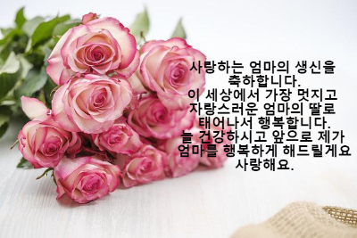 생일축하 메세지 문자 카톡 모음17