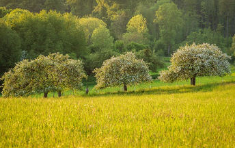 청와대 관람신청 한번에 해결 22