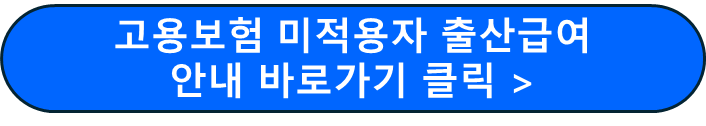 고용보험 미적용자 출산급여