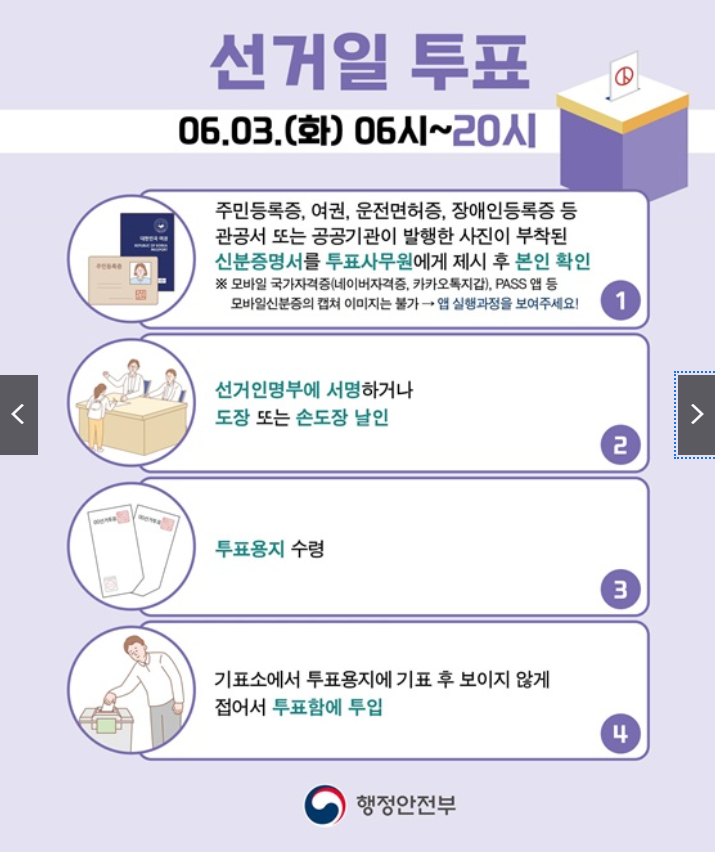 선거일 투표