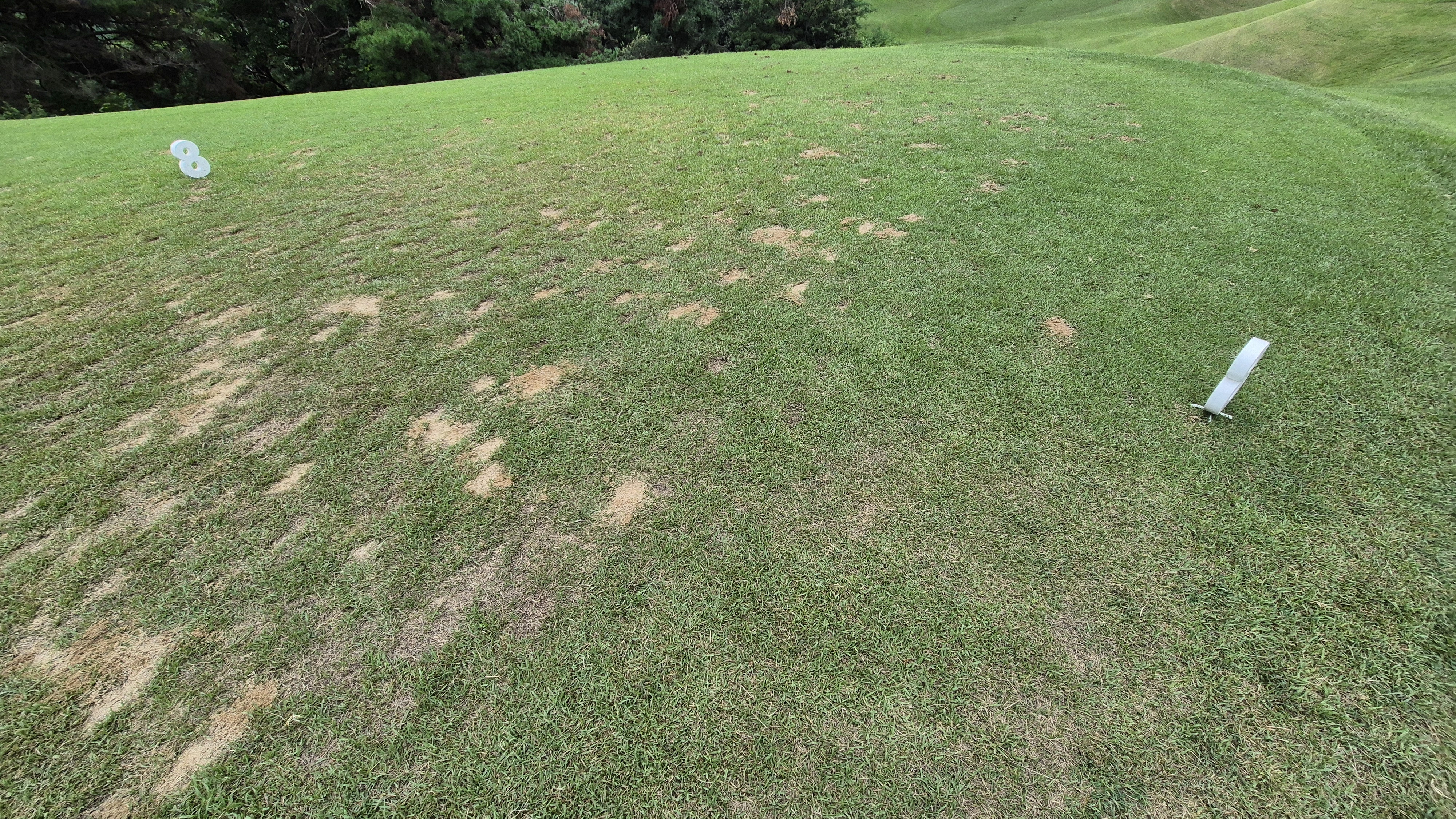 한림용인cc 다이아몬드-사파이어 코스 라운드 후기