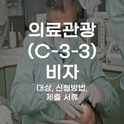 C-3-3 비자