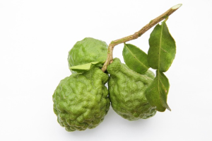 향신료 카피르 라임(,kaffir lime) 알아보기