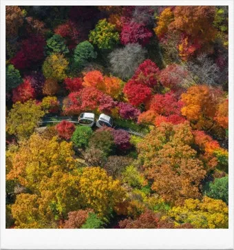 화담숲 입장료 할인 받는 법부터 예매 꿀팁까지는 총정리_20