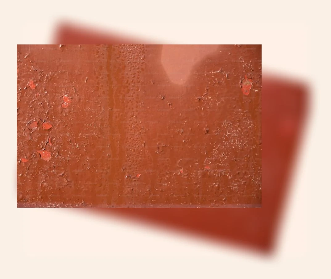 어린이홍삼_3_subsection