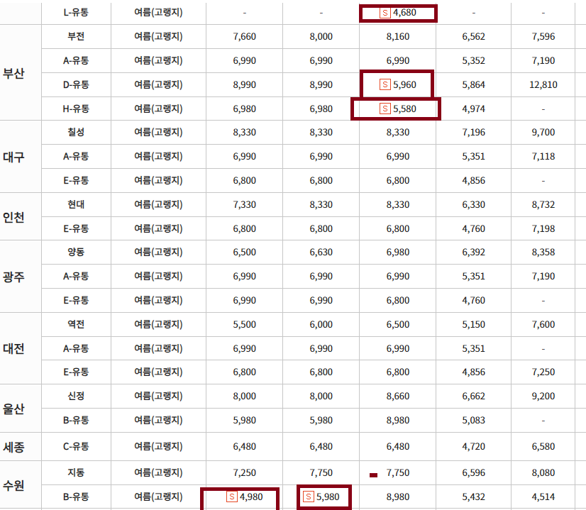 현 배추가격 시세 확인 하기