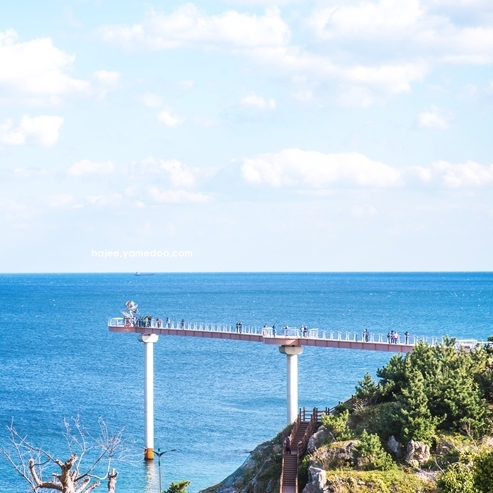 울진 가볼만한곳