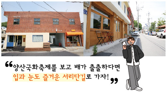 2024 양산 국화축제 기간 행사일정 공연 서리단길 주차장 예술제 사과축제