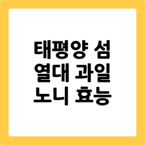 노니 효능
