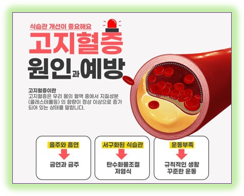 혈관건강