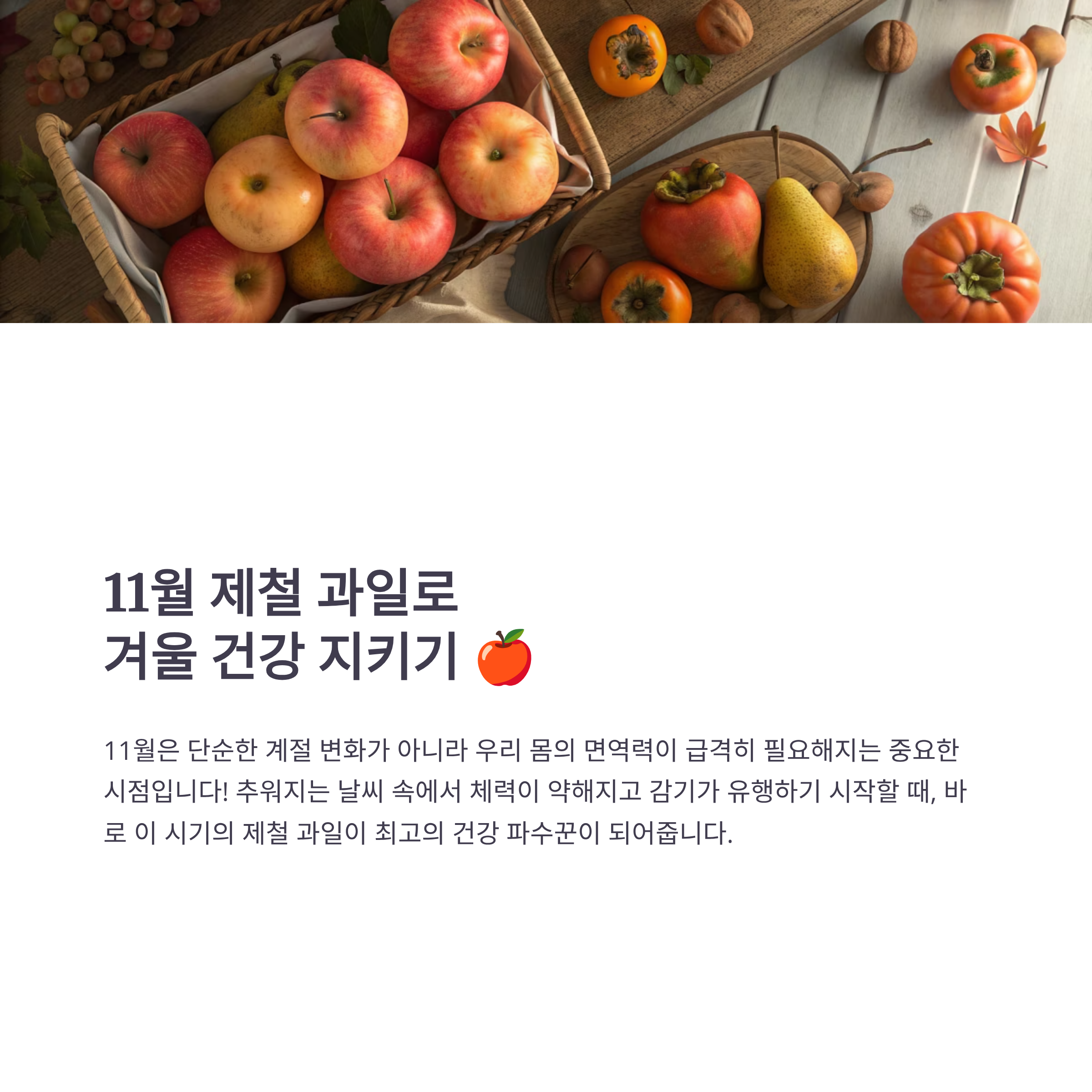 11월 제철 과일 완벽 가이드