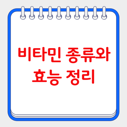 비타민 종류와 효능 정리