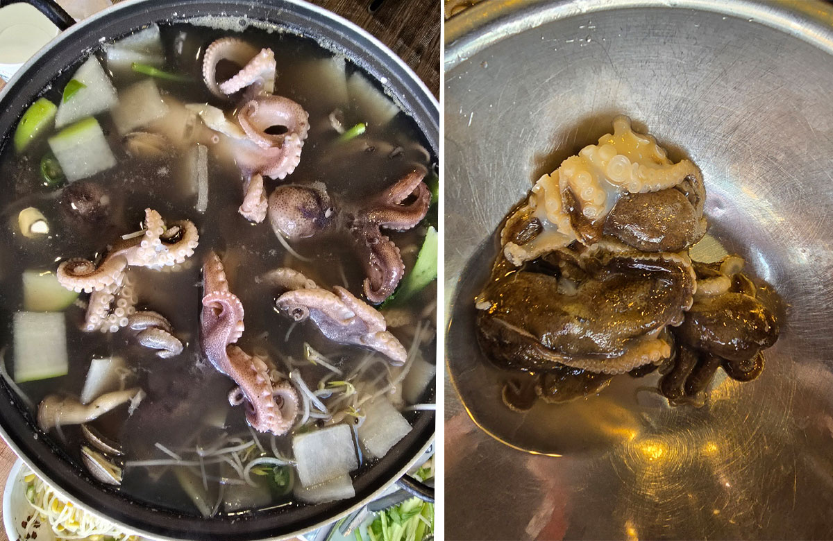 산 쭈꾸미를 손질해서 갖다 주세요.