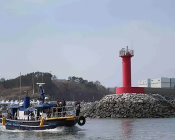 서천 동백꽃 주꾸미 축제_8