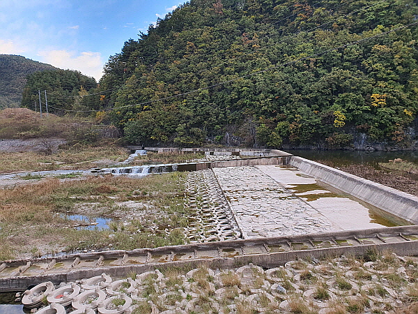 강원도 삼척시 오십천