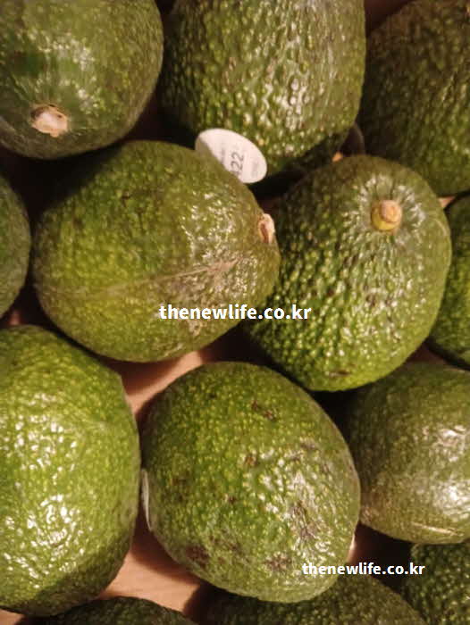 아보카도 효능 시력 보호 루테인 제아잔틴