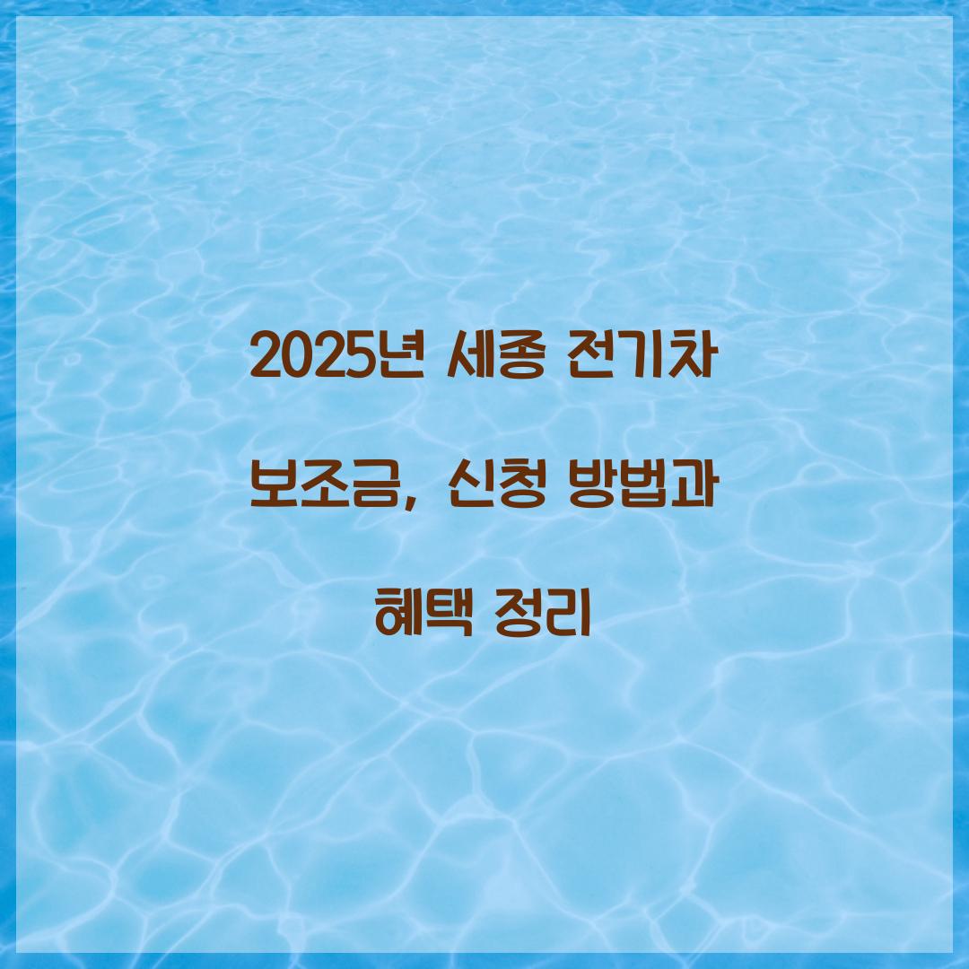 세종 전기차 보조금