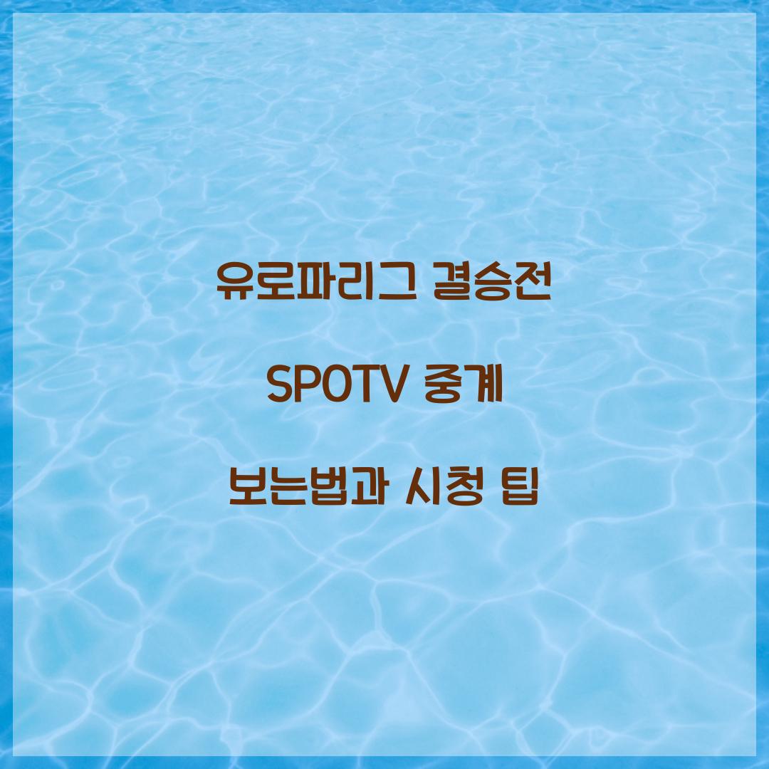 유로파리그 결승전 SPOTV 중계 보는법