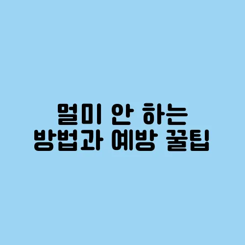 멀미 안 하는 방법과 예방 꿀팁