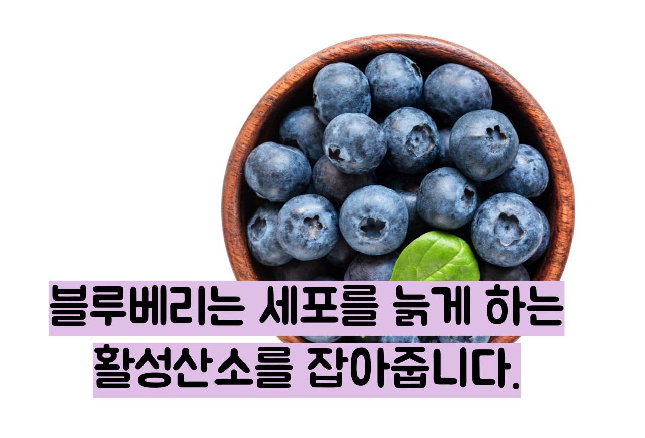 블루베리 효능