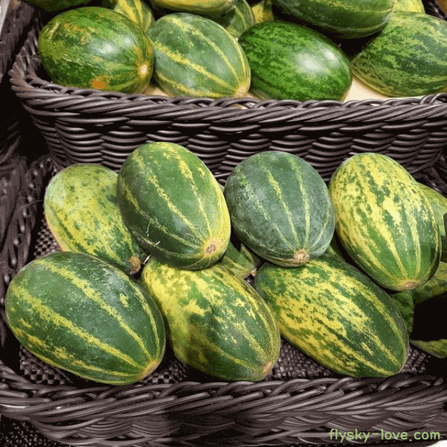 항산화 성분이 풍부한 파파야메론