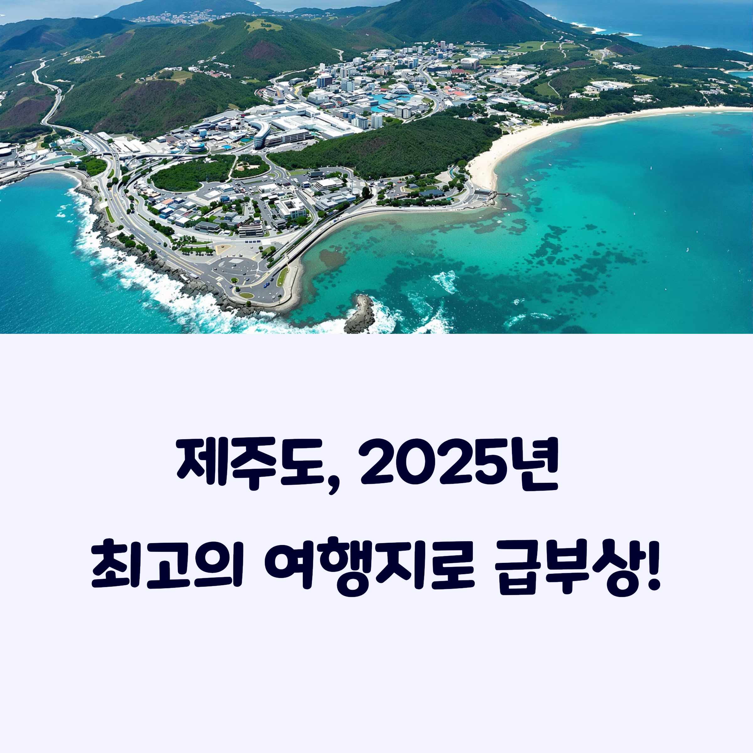 제주도대중교통