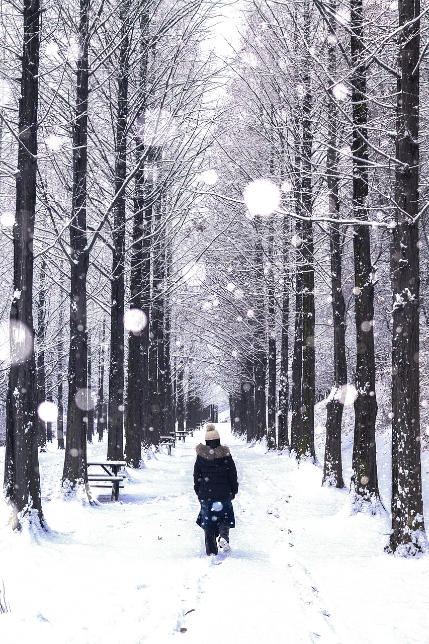 첫눈 오는 날 인사말 모음