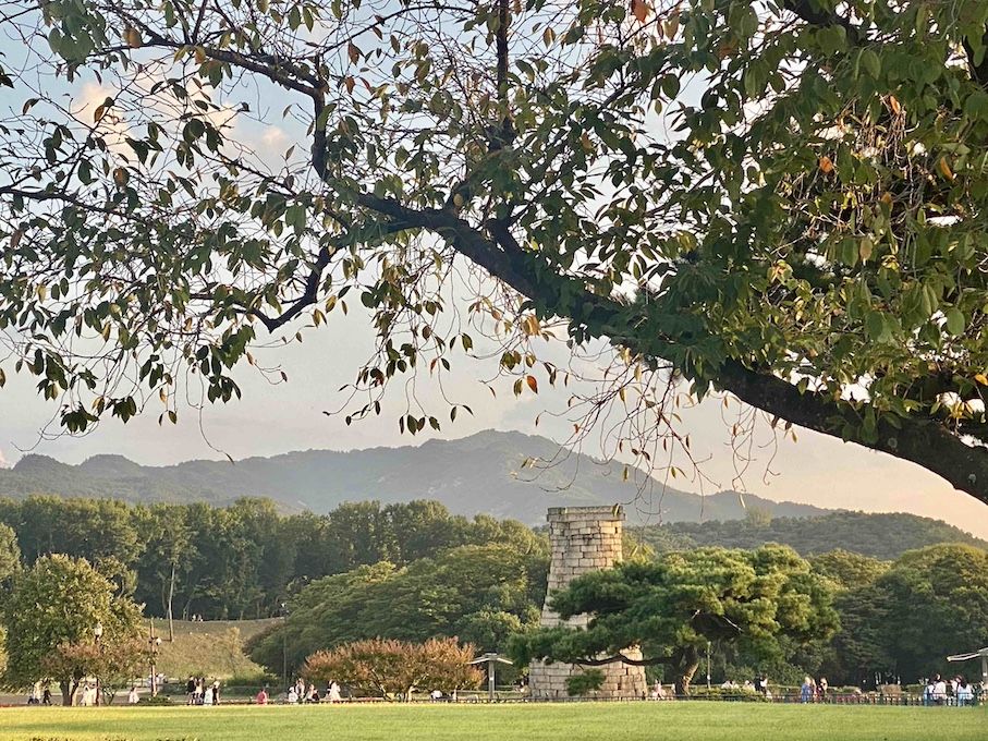 경주-첨성대-풍경