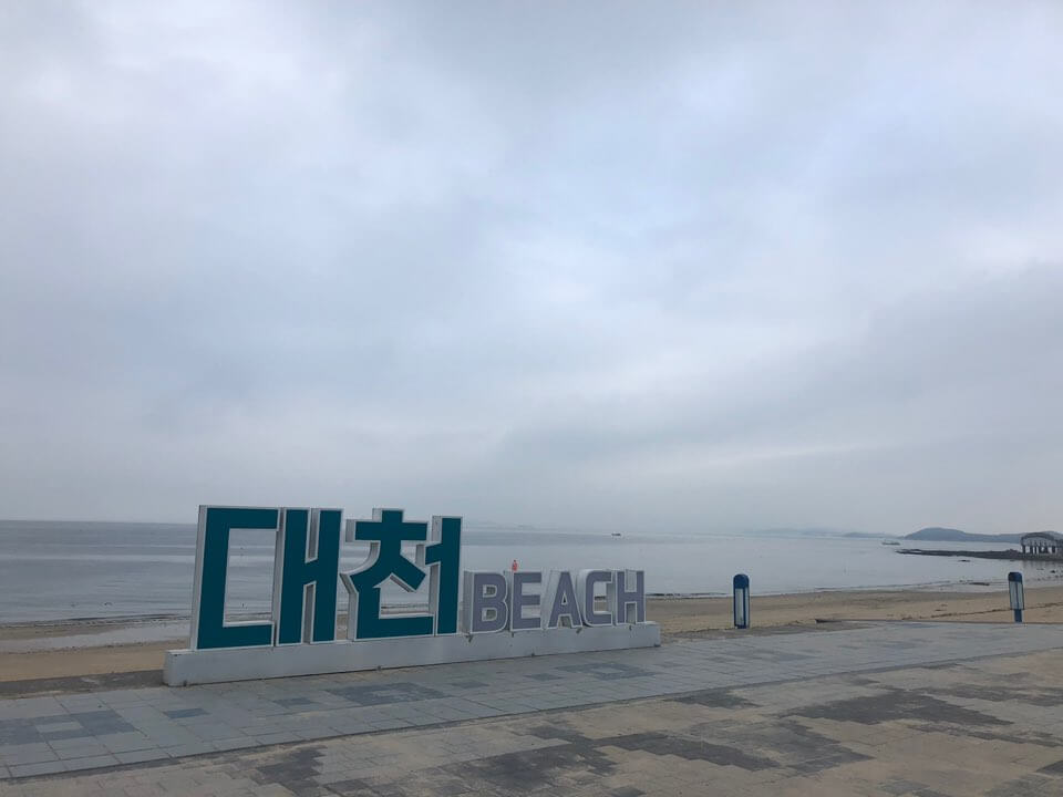 대천 짚라인 가격