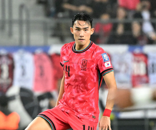 대한민국 팔레스타인