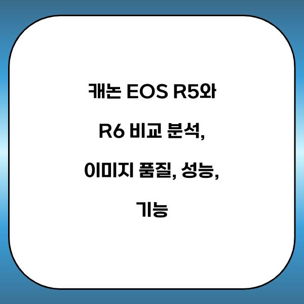 캐논 EOS R5와 R6 비교 분석