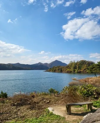 제천 맛집 베스트10 현지인 숨겨진 맛집_18